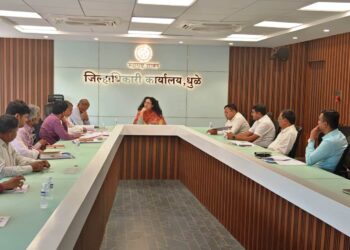 Dhule | लॉजिस्टिक पार्कसाठी जागेची लवकर निश्चिती करा – जिल्हाधिकारी भाग्यश्री विसपुते