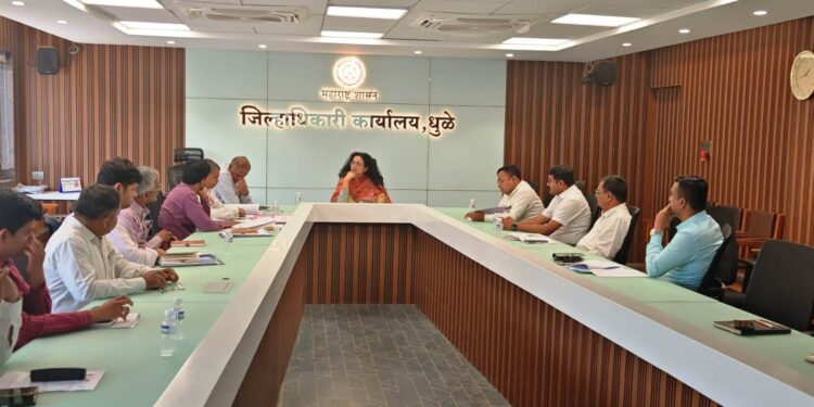 Dhule | लॉजिस्टिक पार्कसाठी जागेची लवकर निश्चिती करा – जिल्हाधिकारी भाग्यश्री विसपुते